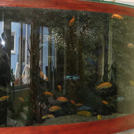 بيت ضيافة Blue House